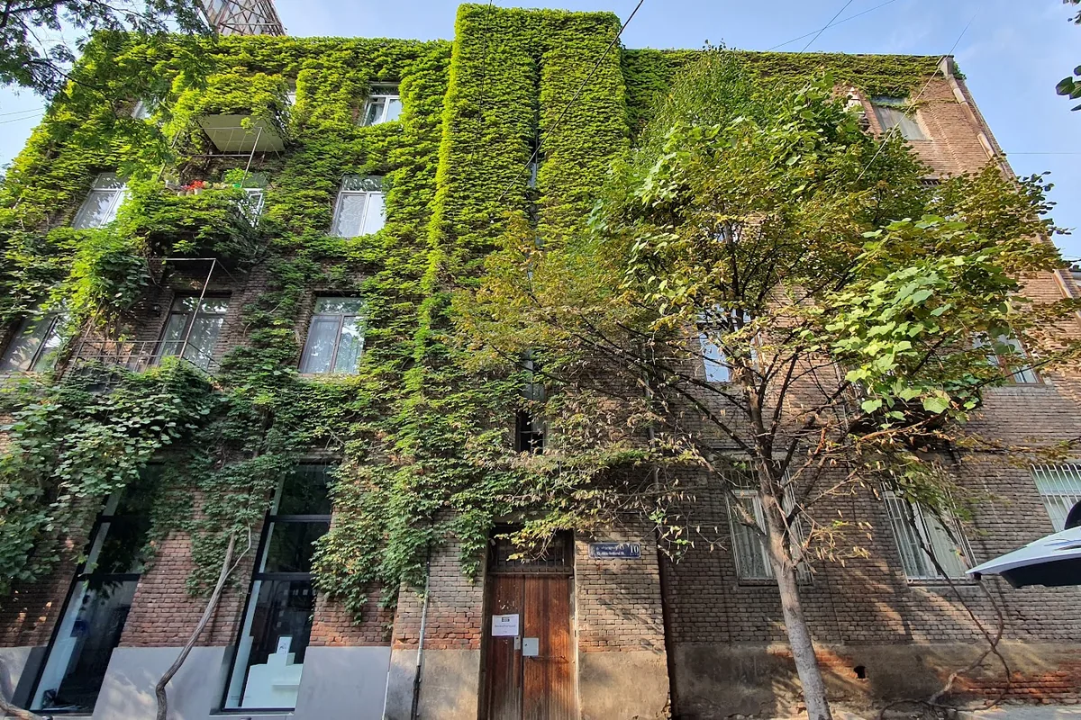 Ivy-covered facade of Bricks Room Hotel on Akhvlediani Street