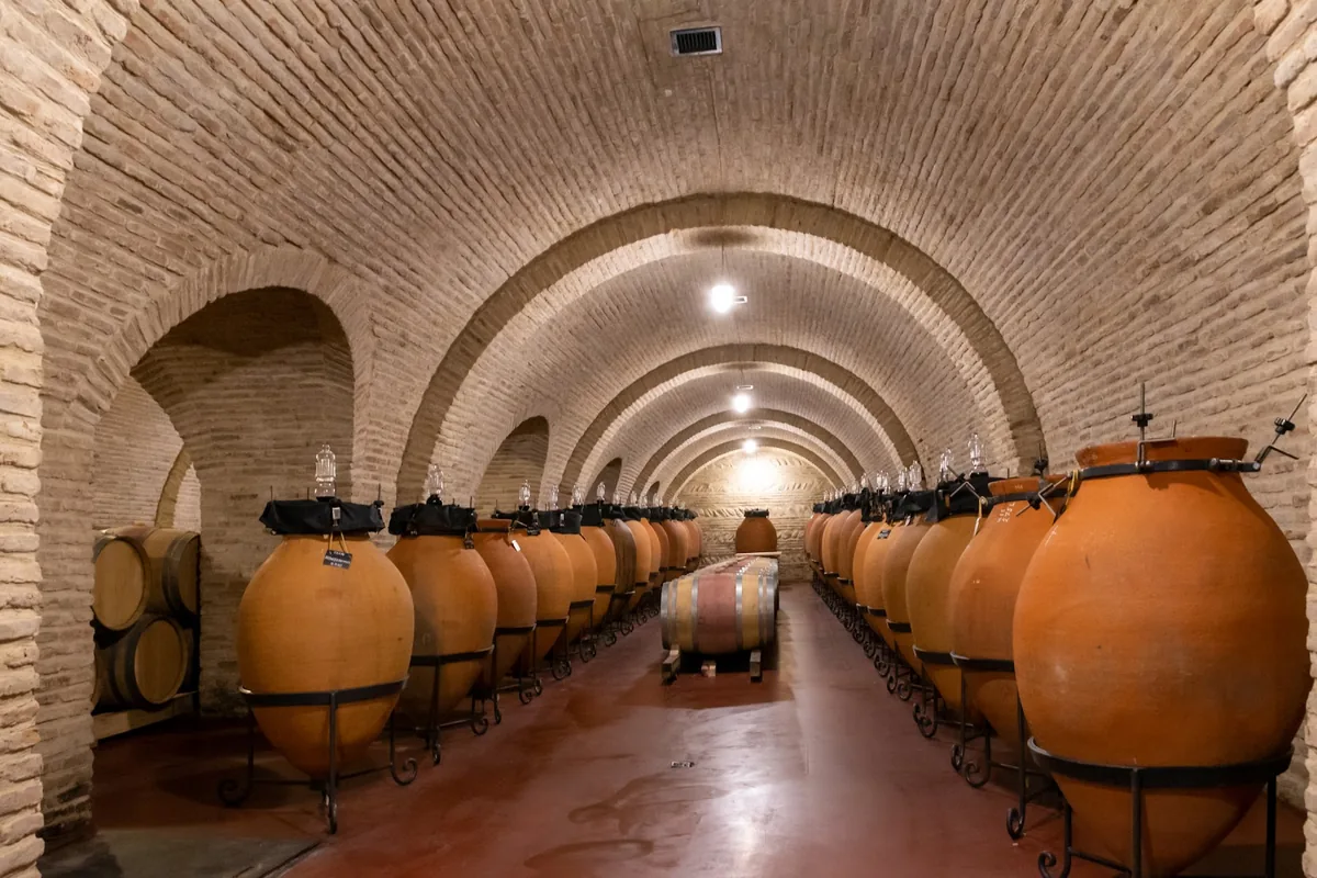 Vaulted cellar lined with qvevri jars at Chateau Mukhrani