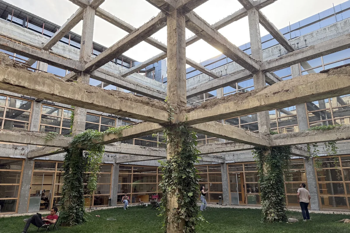 Ivy-covered concrete frame over the lawn in the old factory courtyard at Radio City