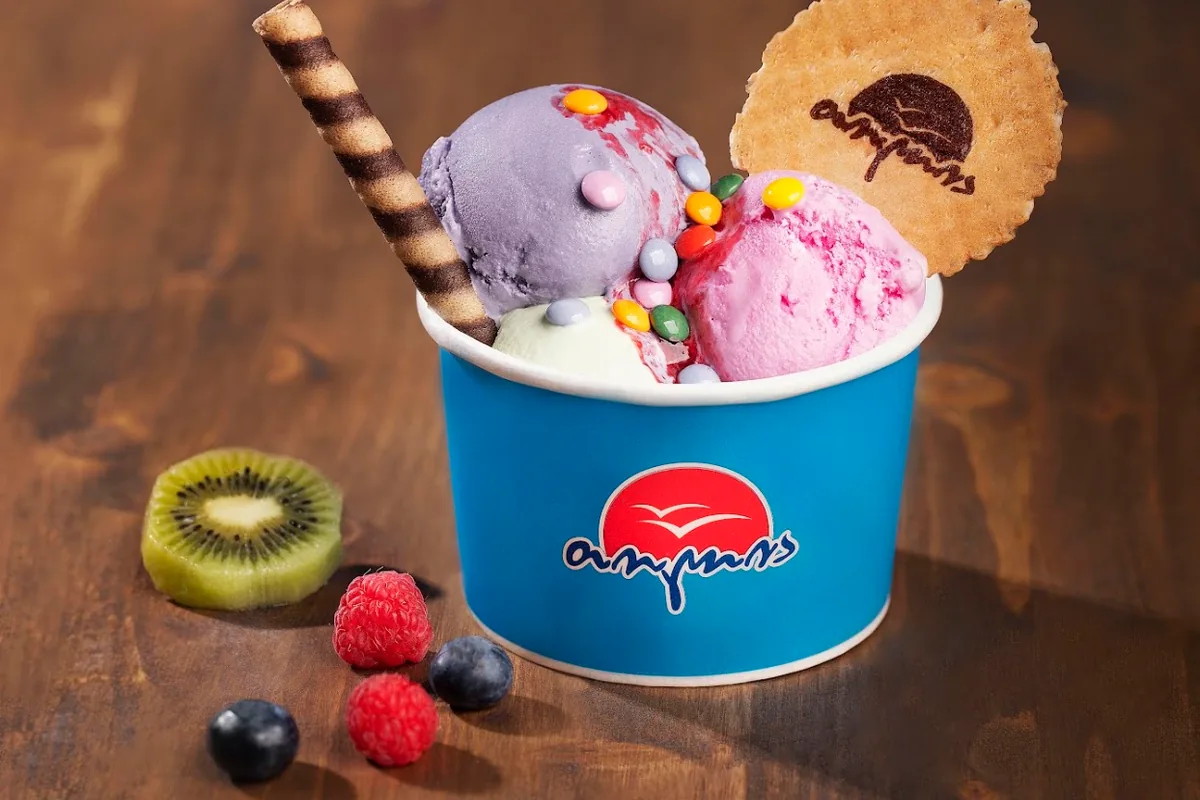 Ice cream cup with scoops, wafer roll, cookie, and fruit garnish at Tolia