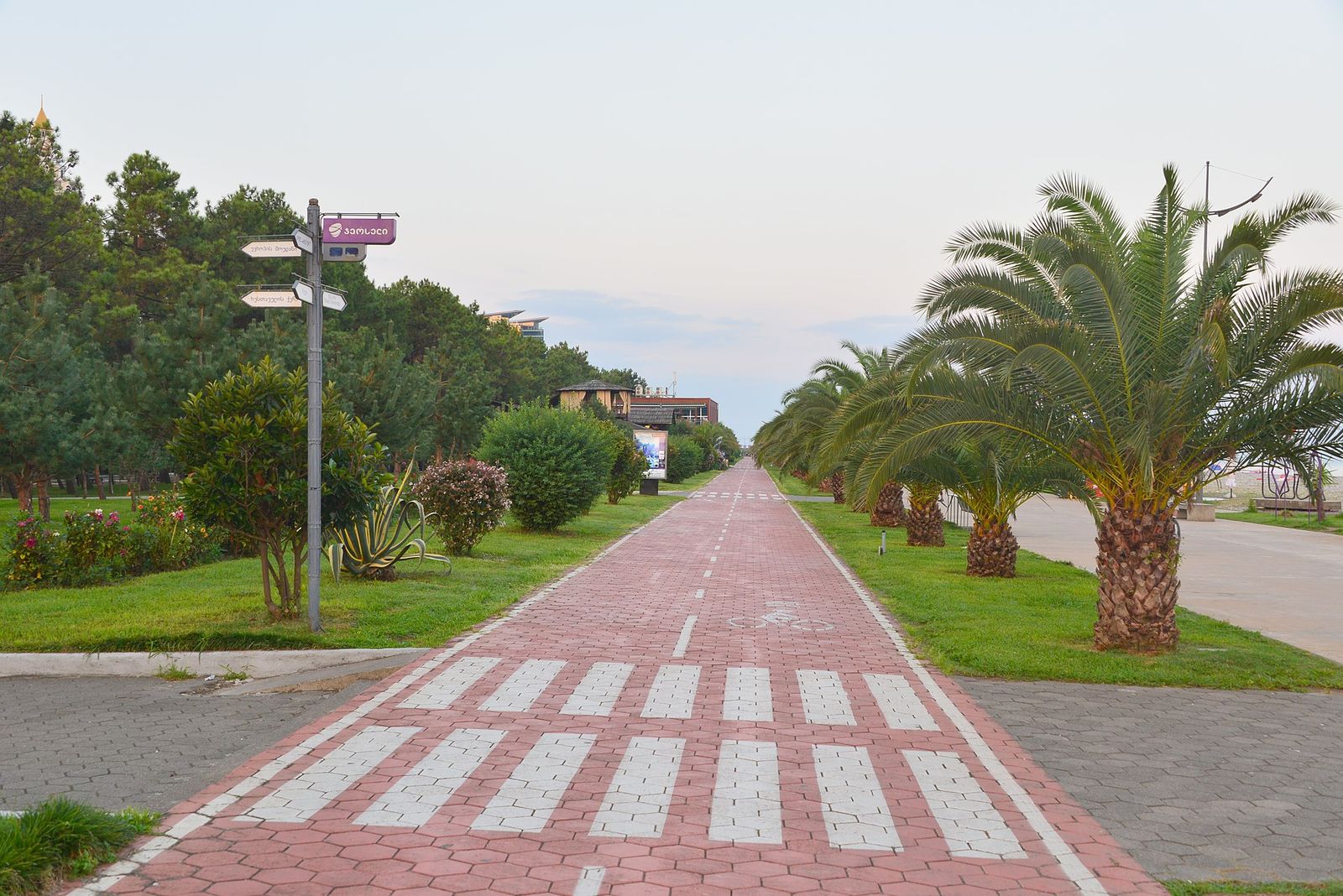 The red cycle lane of Batumi Boulevard running between palm trees and pines along the seafront