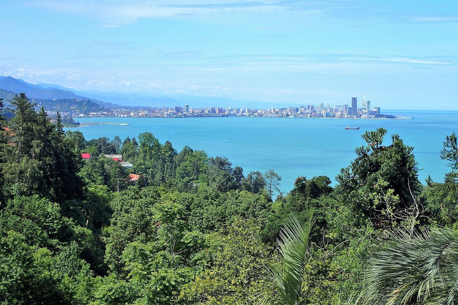 Batumi's skyline across the bay, seen from the trees and palms of the Botanical Garden