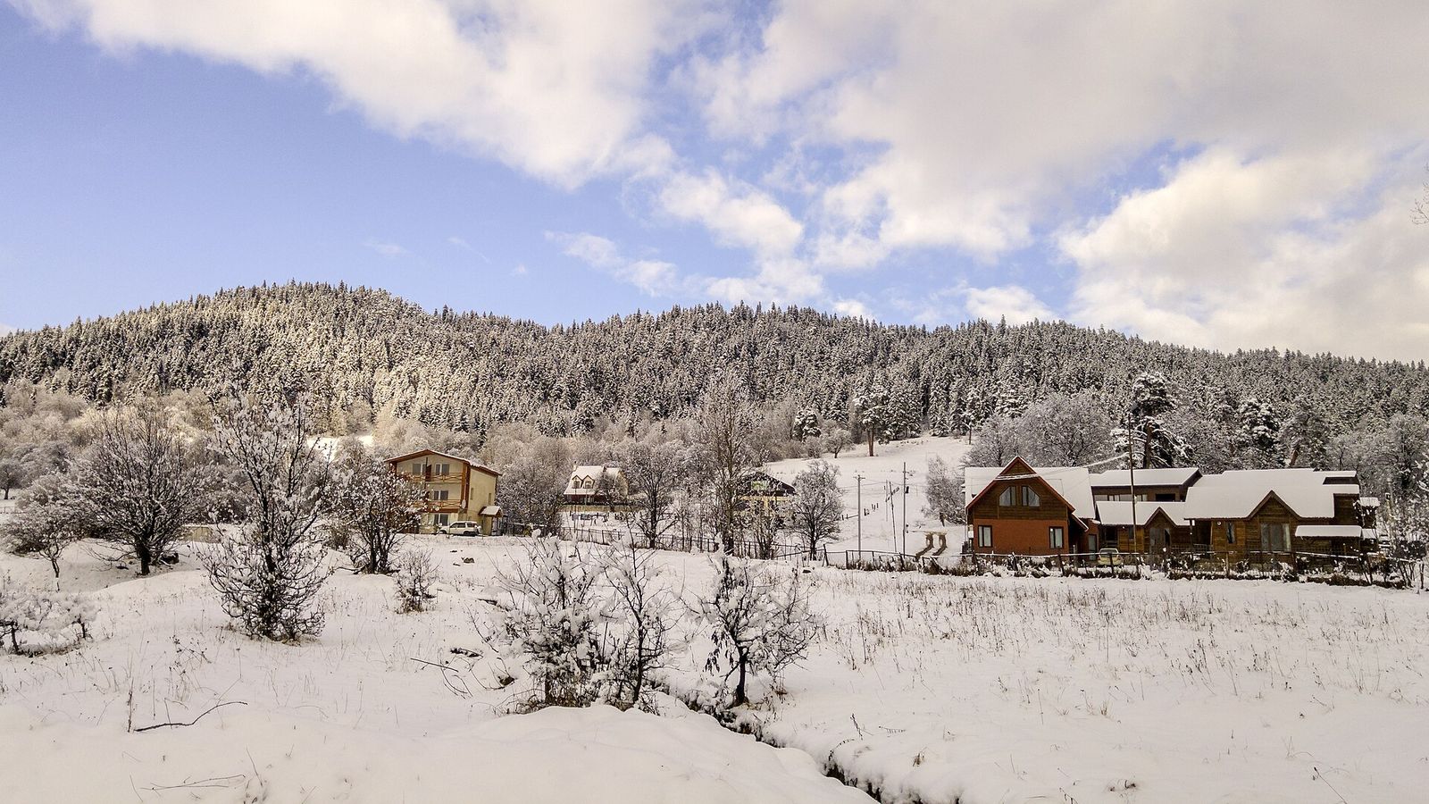 Snow-covered wooden chalets in Bakuriani below a hill of frosted pine forest