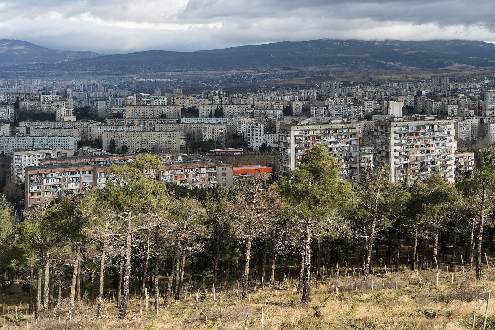 The view from the Chronicles of Georgia over pine trees to Soviet-era apartment blocks in northern Tbilisi, with hills behind
