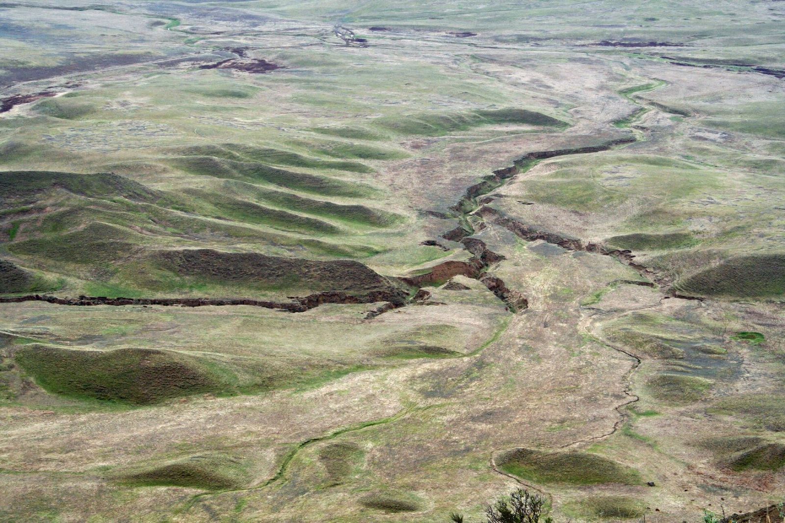 Green rolling steppe and eroded gullies in Azerbaijan, seen from the ridge at Udabno Monastery