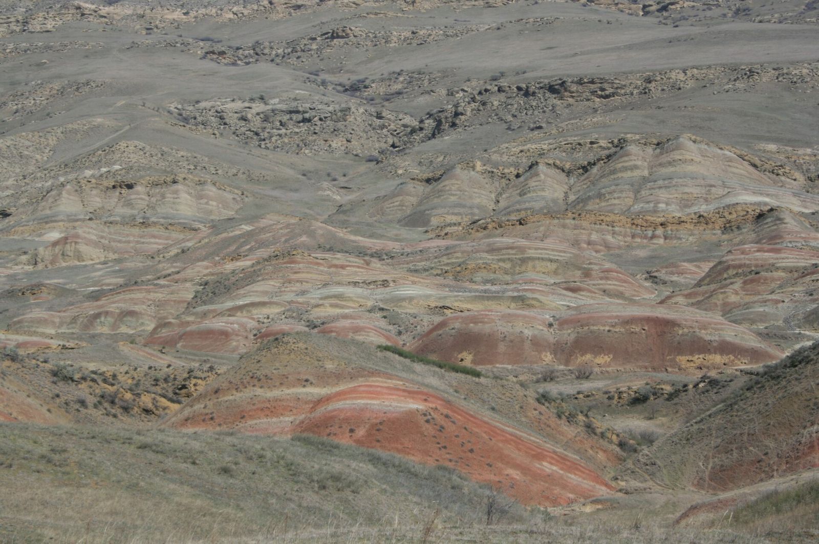 The Rainbow Hills near David Gareja: eroded hills banded in red, pink, ochre and cream on the dry steppe