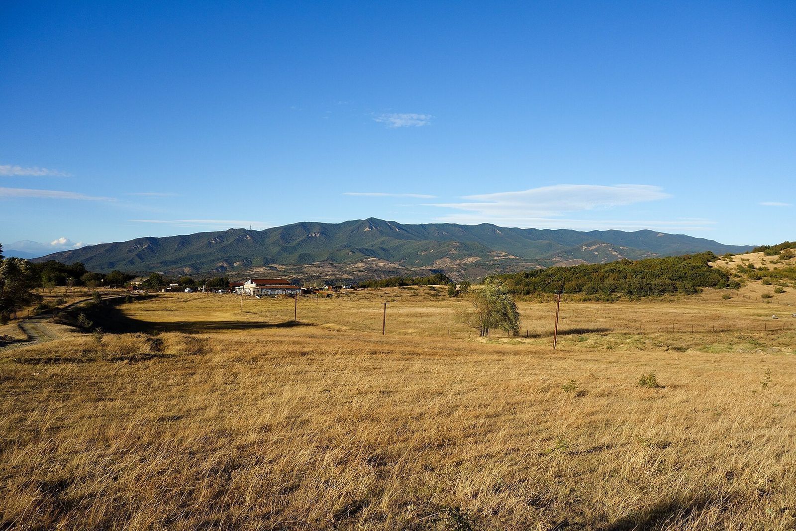 The long, forested Saguramo Ridge seen across dry grassland from Mukhatgverdi