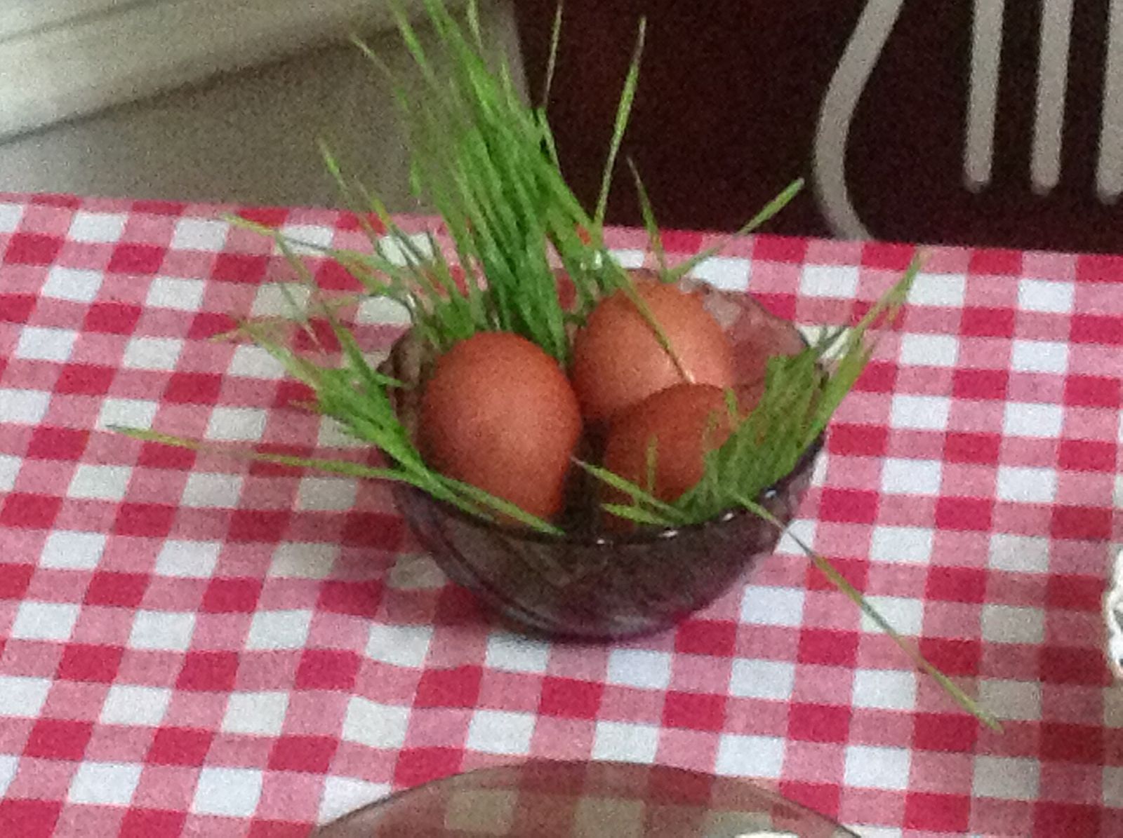 Three red-brown Easter eggs in a bowl of green jejili wheatgrass on a breakfast table in Tbilisi