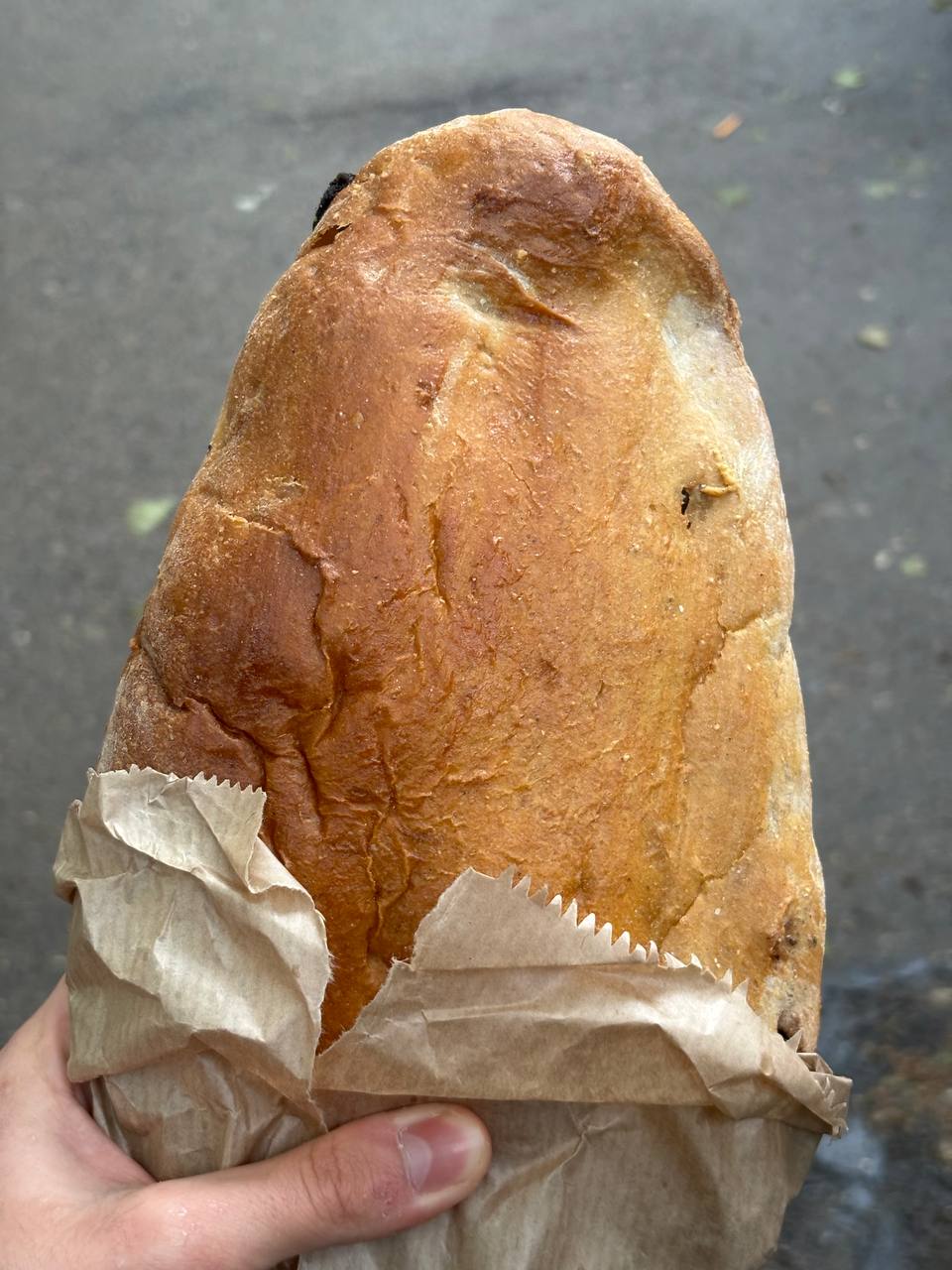 A loaf of nazuki, the Georgian raisin sweet bread, wrapped in bakery paper