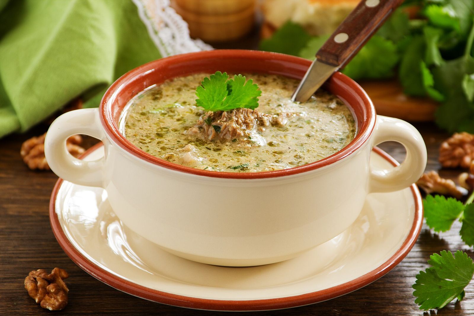 A bowl of kharcho, beef soup thickened with walnuts, topped with a coriander leaf