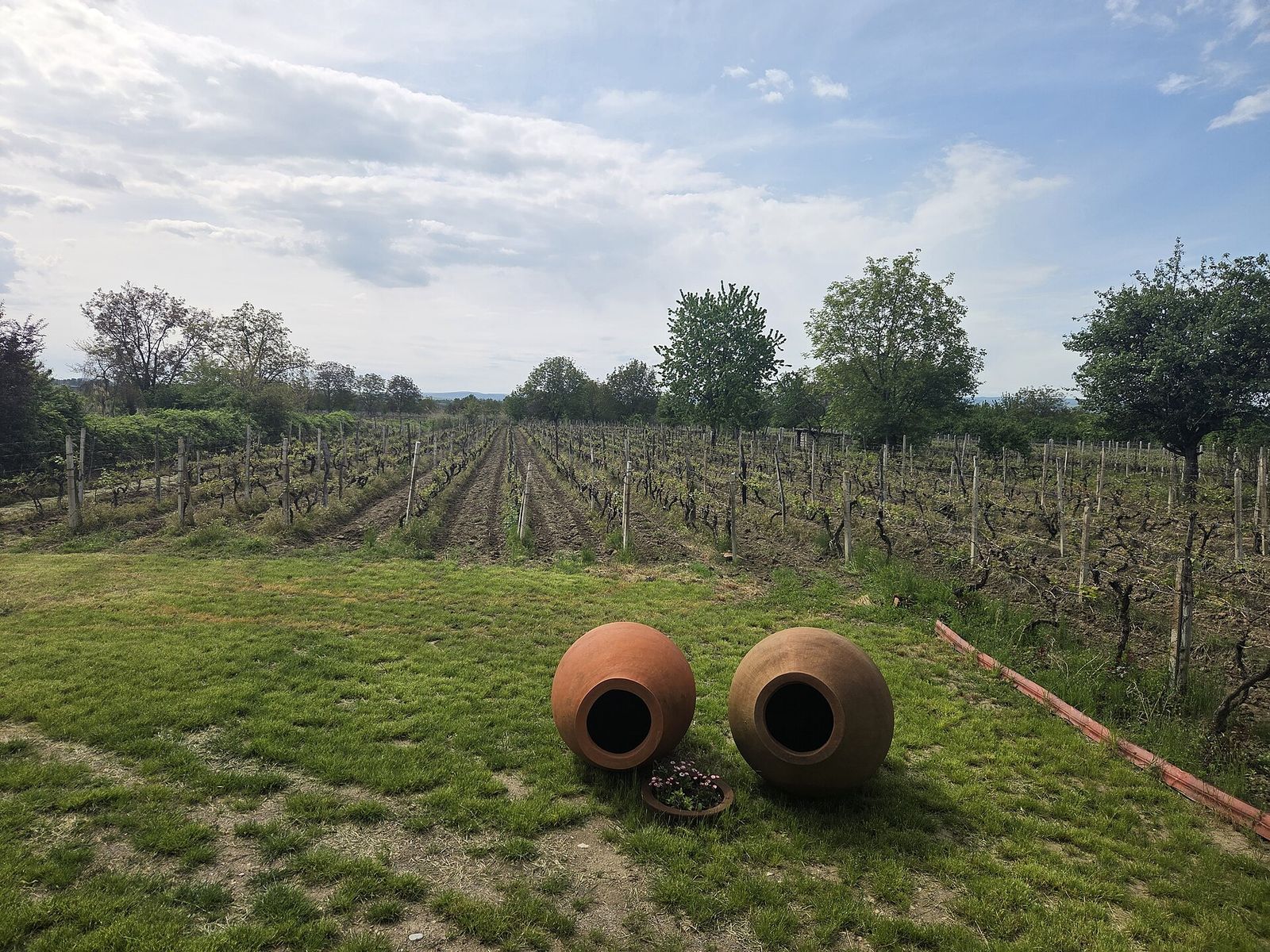 Two qvevri jars lying on the lawn in front of the vineyard at Manavino Winery in Manavi, Kakheti