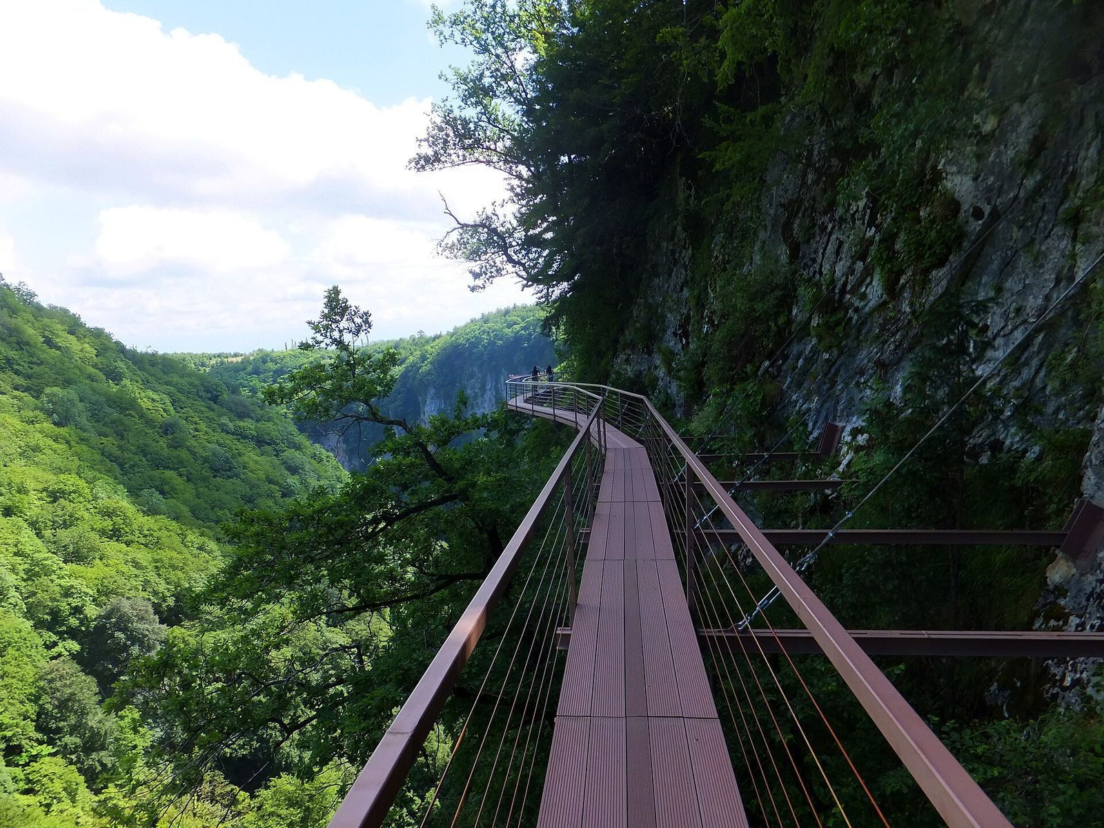 The hanging walkway bolted to the cliff above the forested gorge of Okatse Canyon