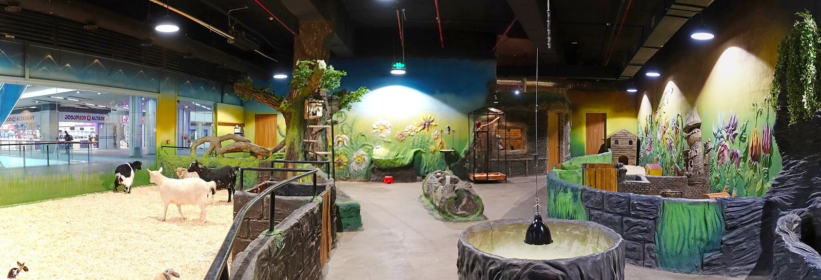 The Zootopia indoor petting zoo inside Tbilisi Mall, with the mall's shopfronts behind the glass