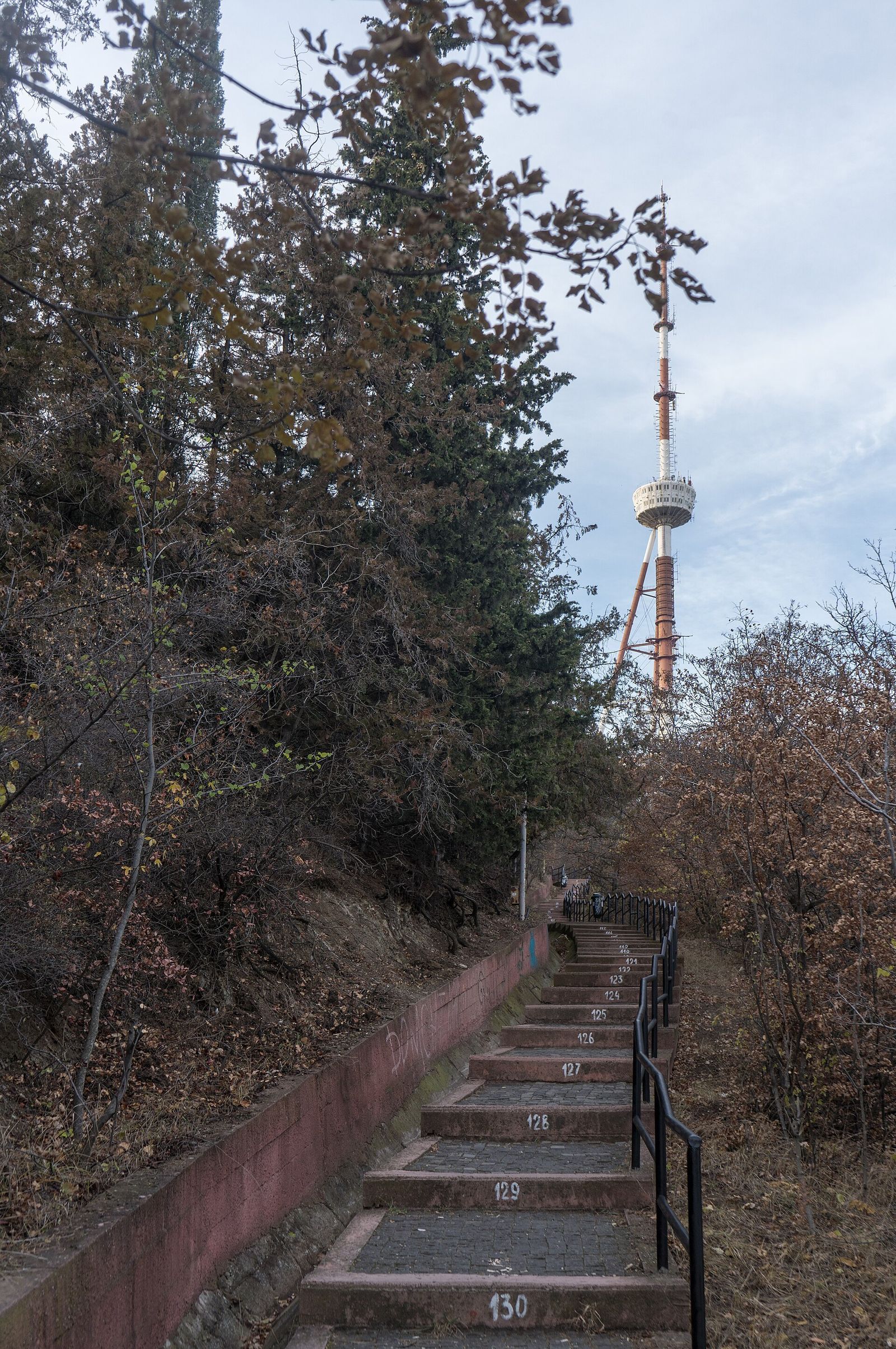 Numbered concrete steps climbing toward Mtatsminda Park, with the TV tower above the trees