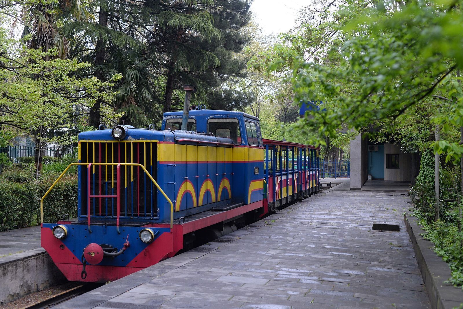 The blue and yellow train of the children's railway waiting at its platform under the trees of Mushtaidi Park