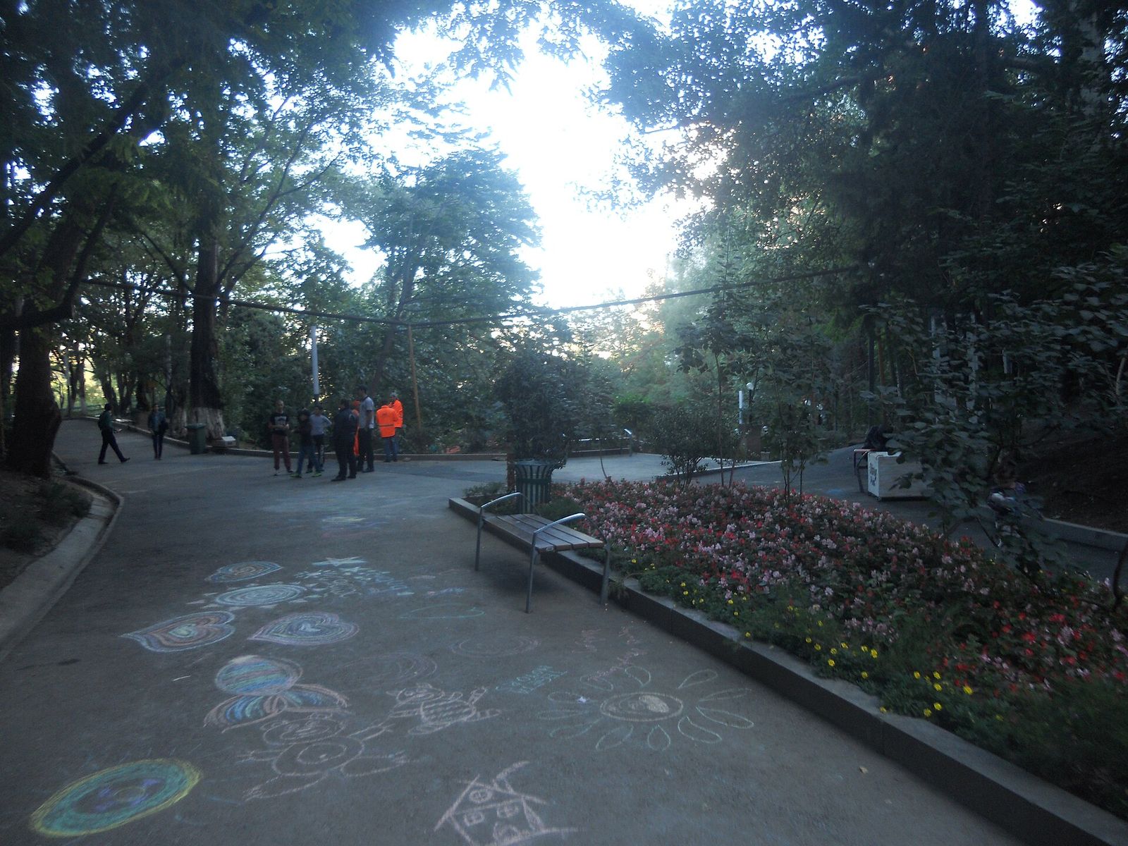 A tree-shaded path with a bench, flower beds and chalk drawings in Mziuri Park, Vake