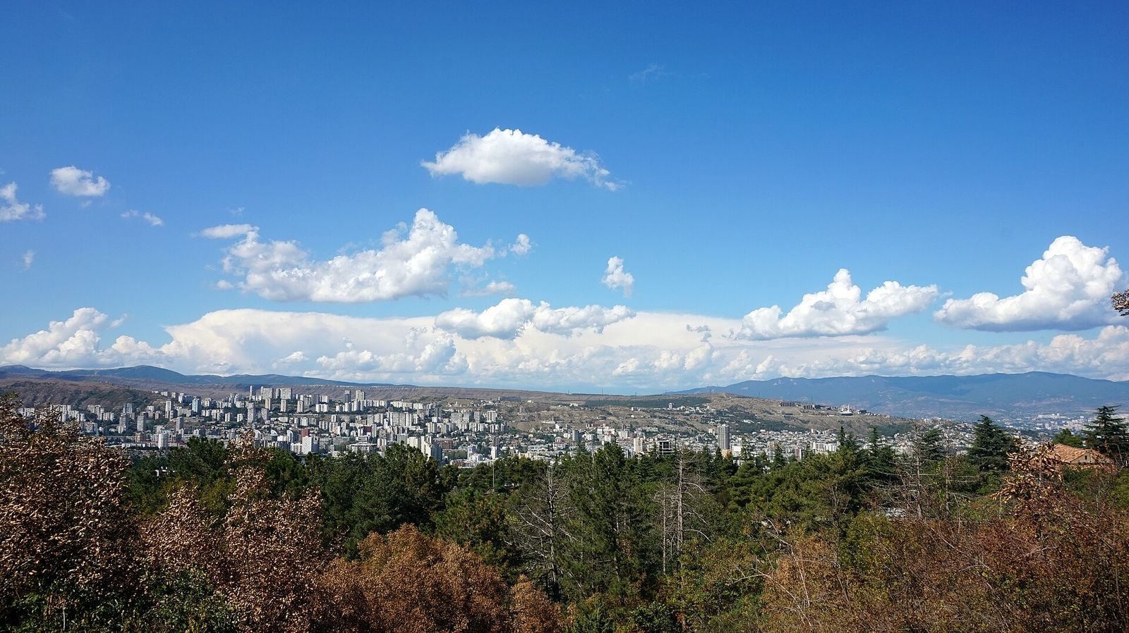 The view from the Open Air Museum of Ethnography: wooded slopes in front and the apartment blocks of western Tbilisi below