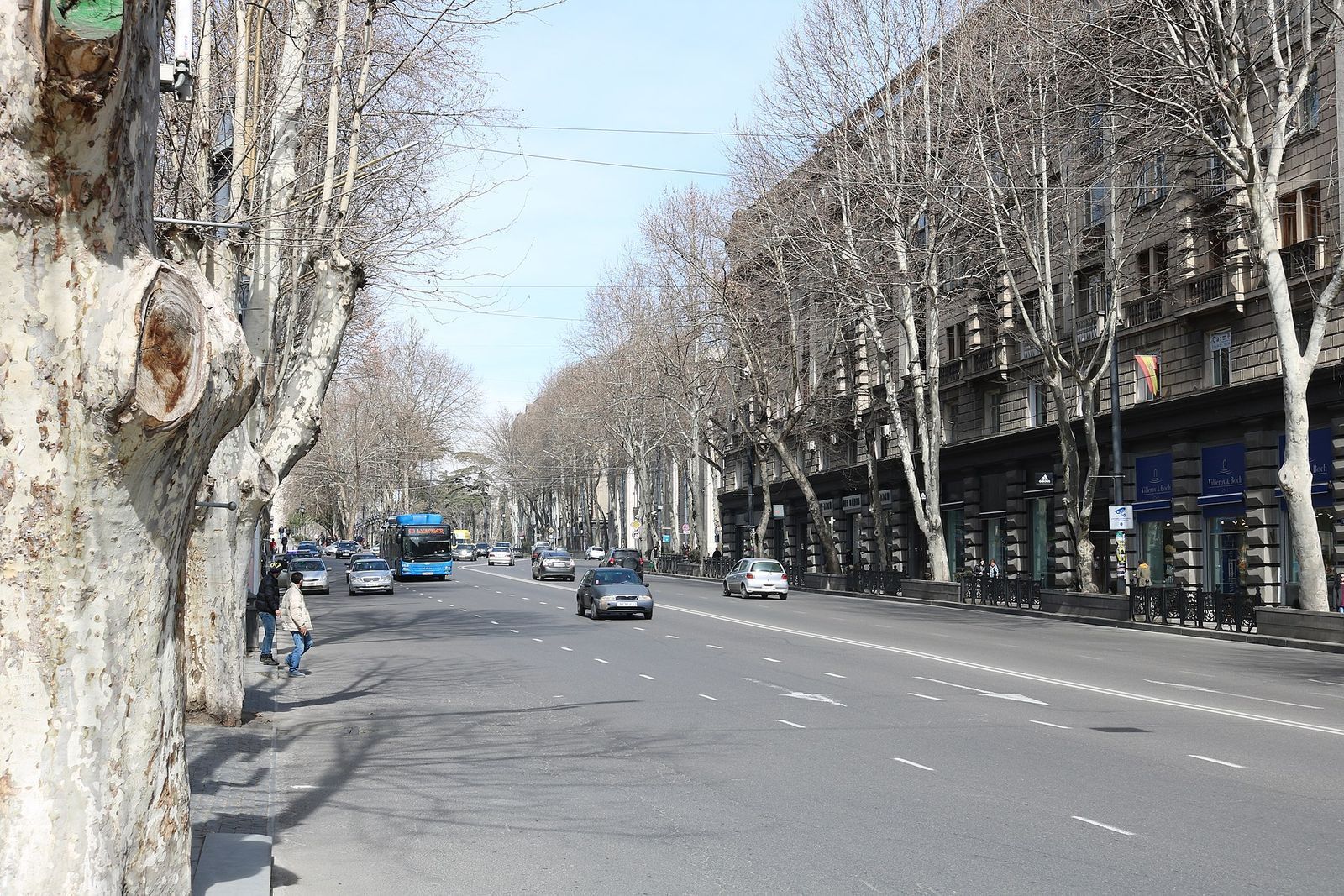 Rustaveli Avenue seen from Liberty Square, with plane trees, a city bus and stone apartment blocks along the boulevard