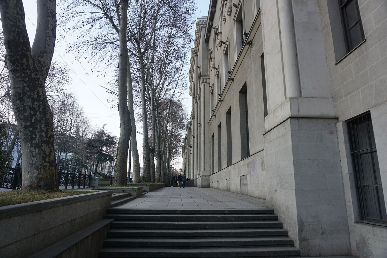 The stone side facade and front steps of the Georgian National Museum's main building under the plane trees of Rustaveli Avenue