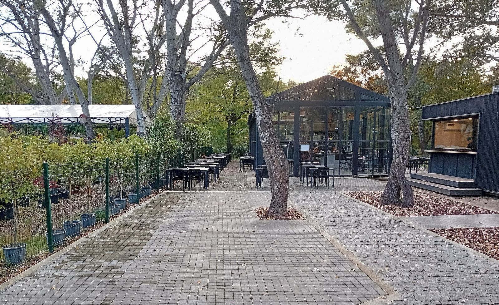 The glass pavilion and outdoor tables of the Coffee LAB roastery cafe under the trees at Lisi Lake