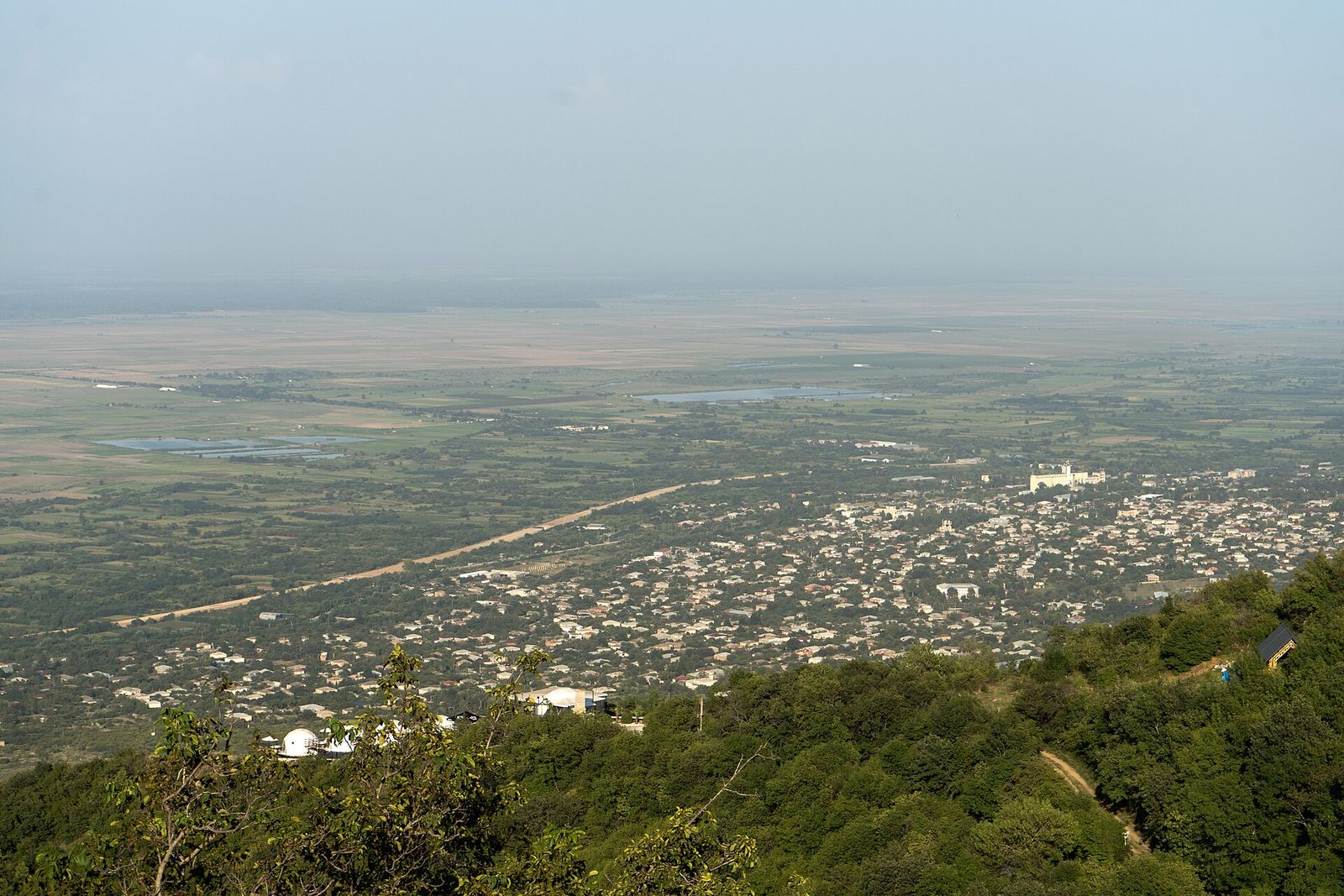 The flat Alazani Valley seen from Sighnaghi, with fields, fish ponds and a spread of village houses below the wooded hillside