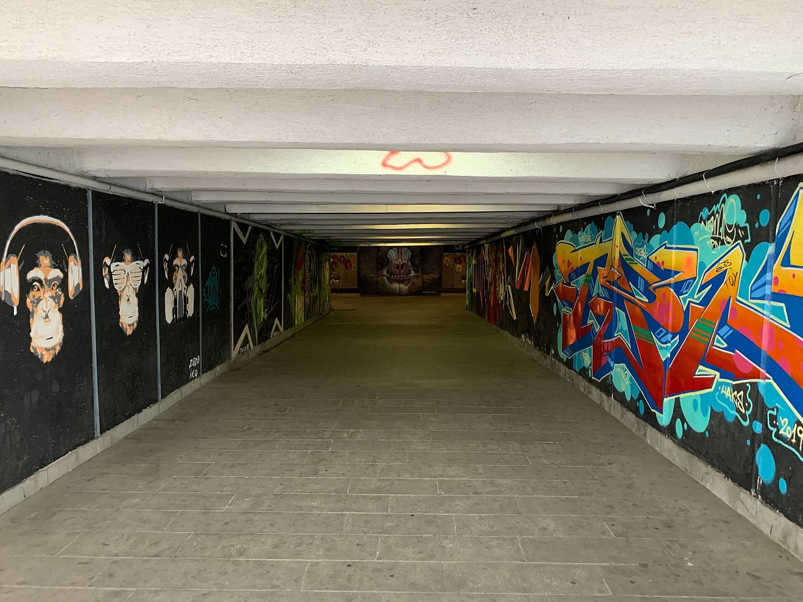 Painted monkeys and colorful graffiti lining the pedestrian underpass at Baratashvili Bridge in Tbilisi