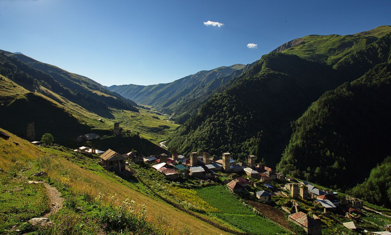 The footpath of the Mestia to Ushguli trek dropping into Adishi, a village of stone towers in a green valley where trekkers spend the second night