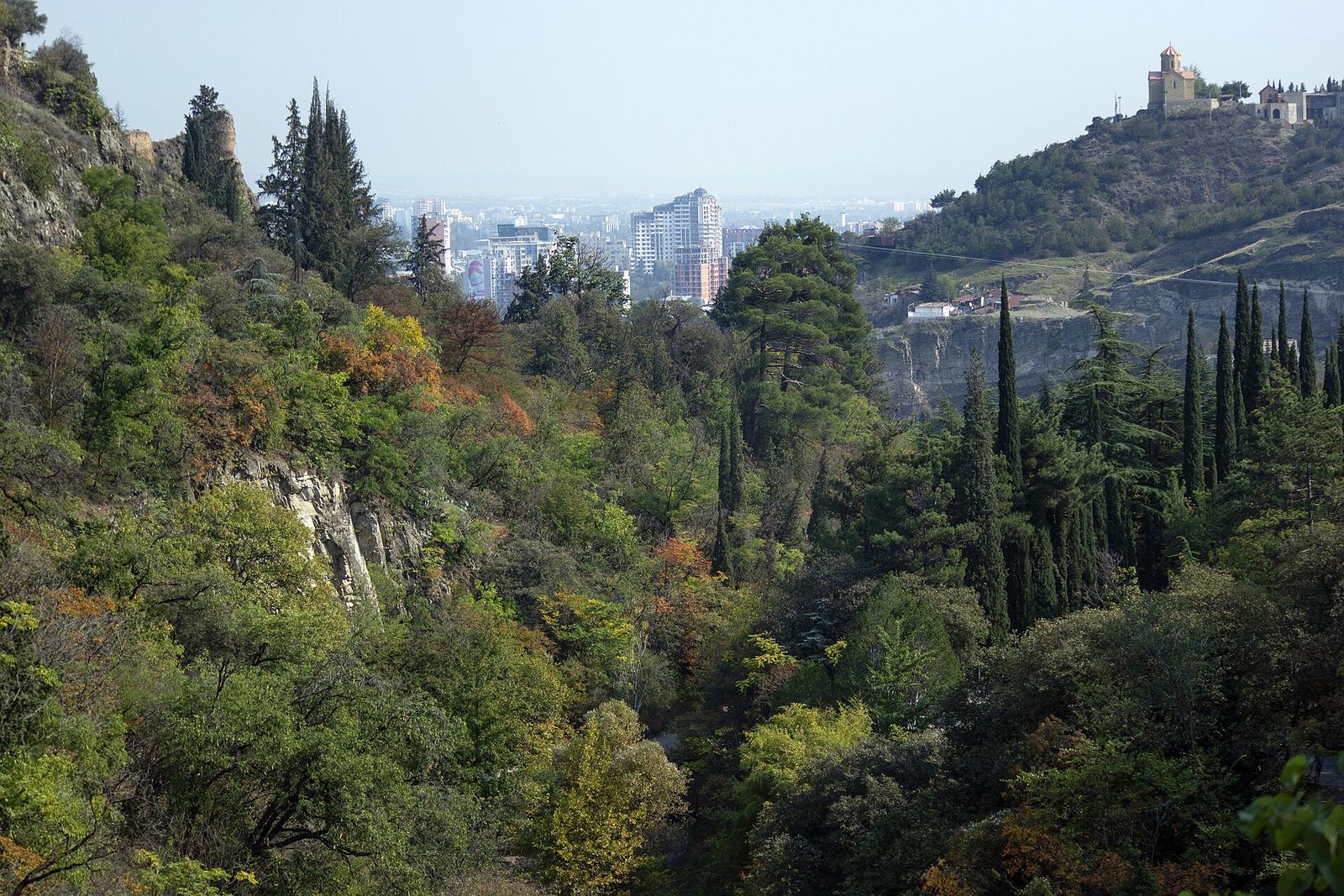 The wooded gorge of the Tbilisi Botanical Garden with city high-rises beyond and a church on the hill to the right
