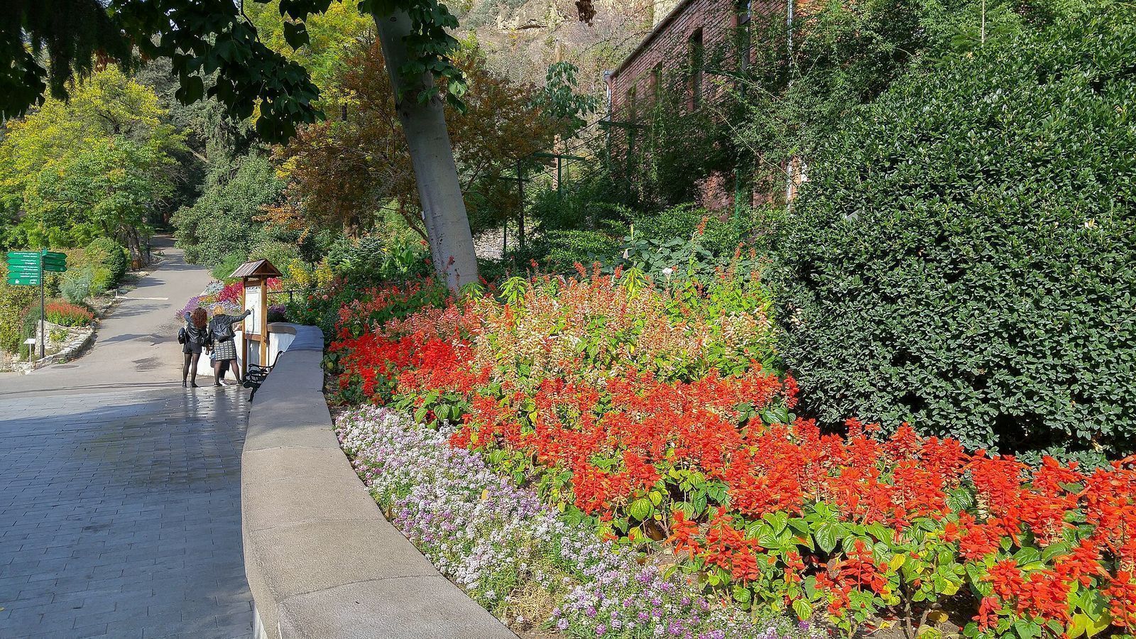 A paved path past red and white flowerbeds in the National Botanical Garden of Georgia