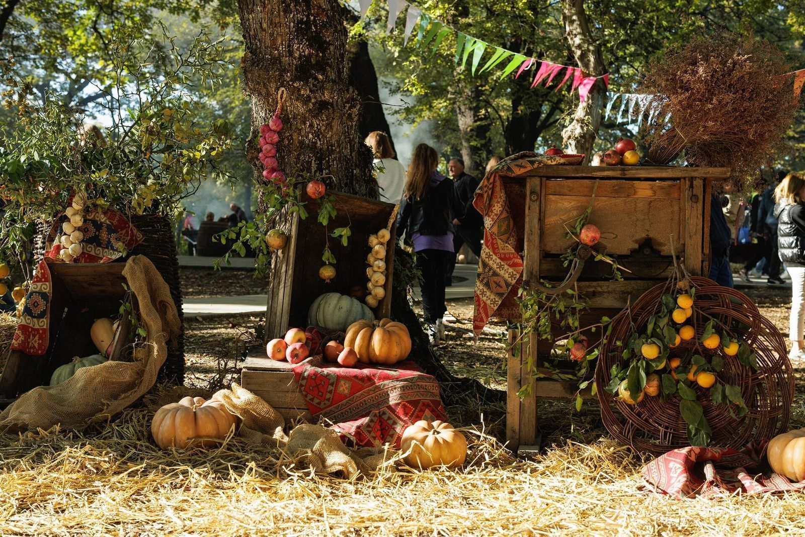 Pumpkins, pomegranates, apples and strings of garlic on old wooden crates under the trees at the Gurjaani Wine Festival