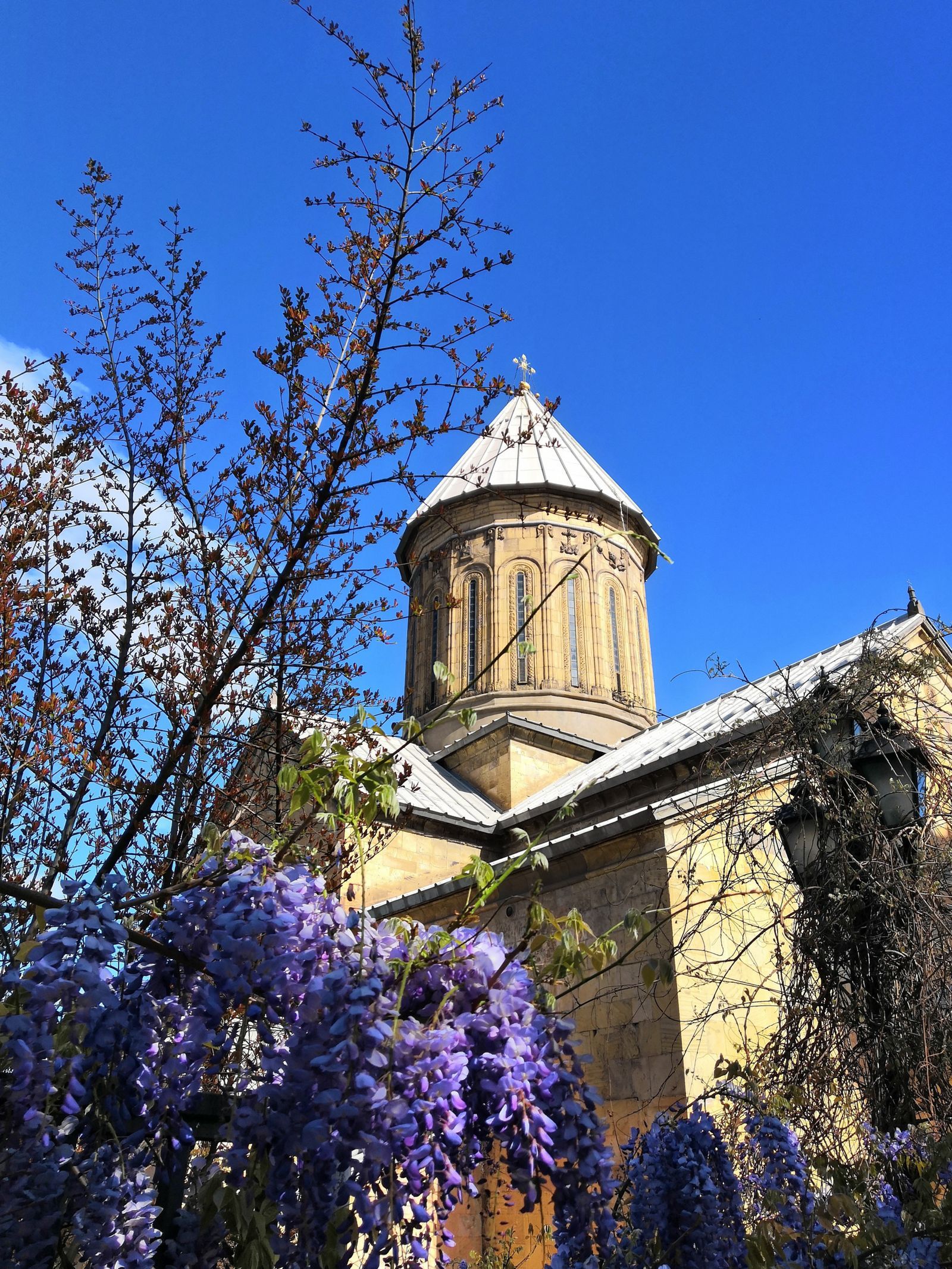 Purple wisteria in flower in April in front of the dome of Sioni Cathedral in the Old Town