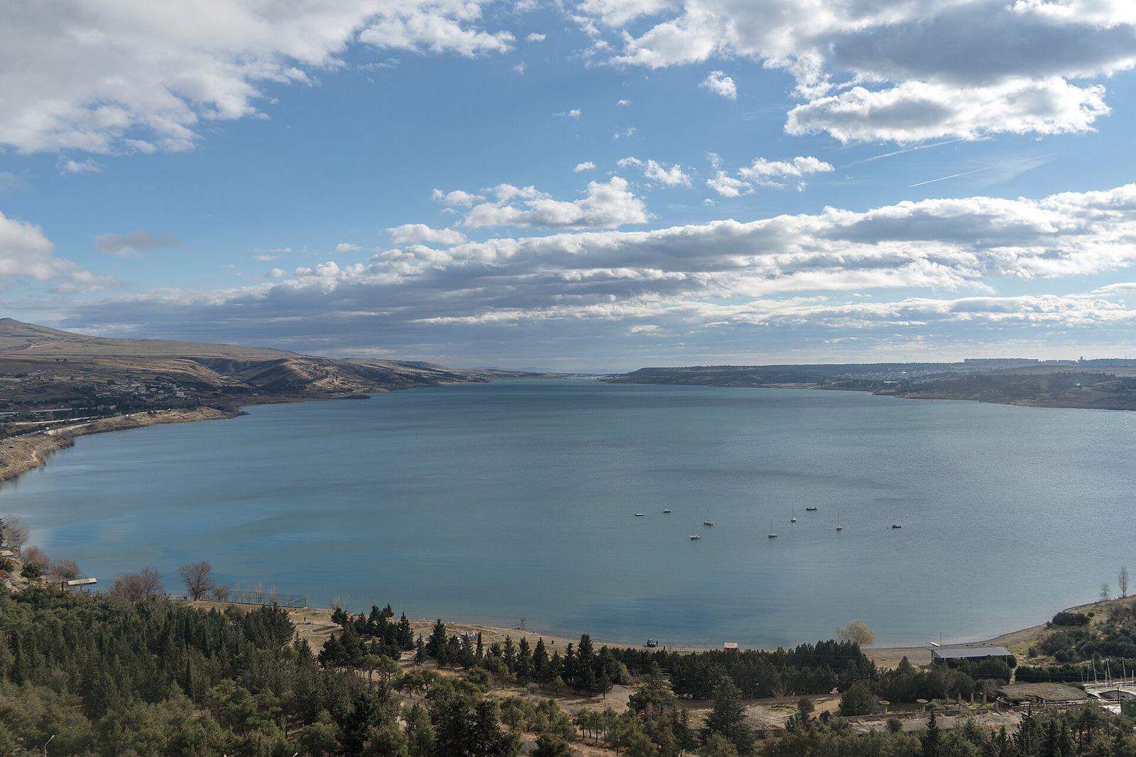 The Tbilisi Sea reservoir seen from the hill above it, with its curved shore and pine woods in the foreground