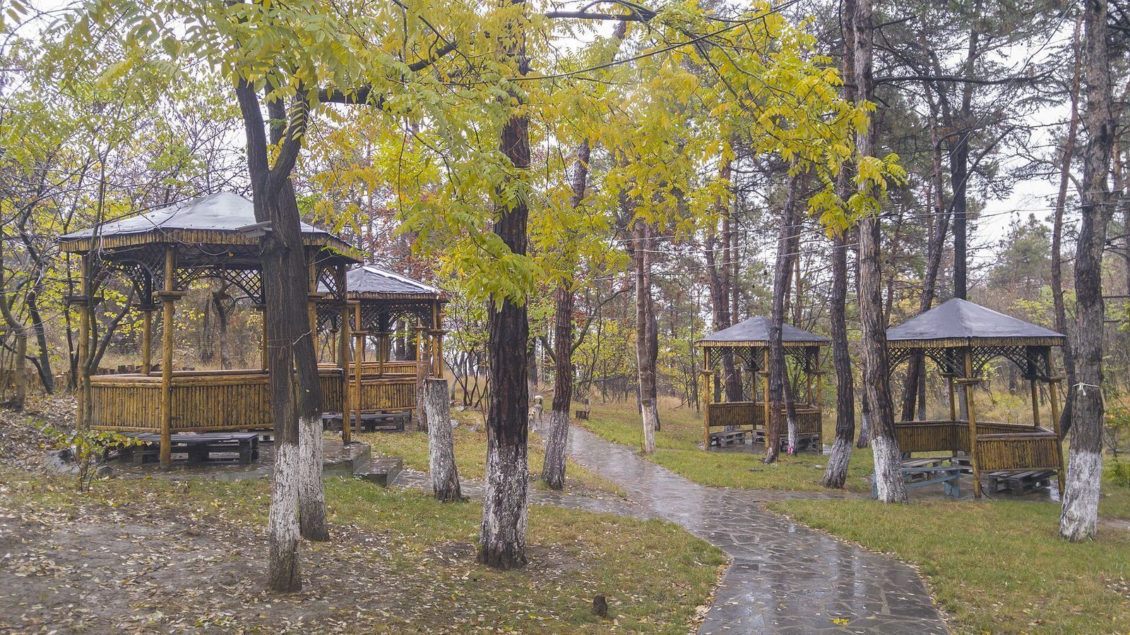 Wooden picnic gazebos among autumn trees on a stone path near Turtle Lake