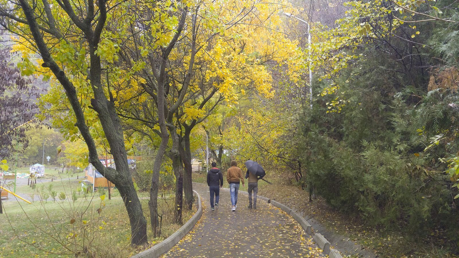 Walkers on the paved path through yellow autumn trees near Turtle Lake in Tbilisi