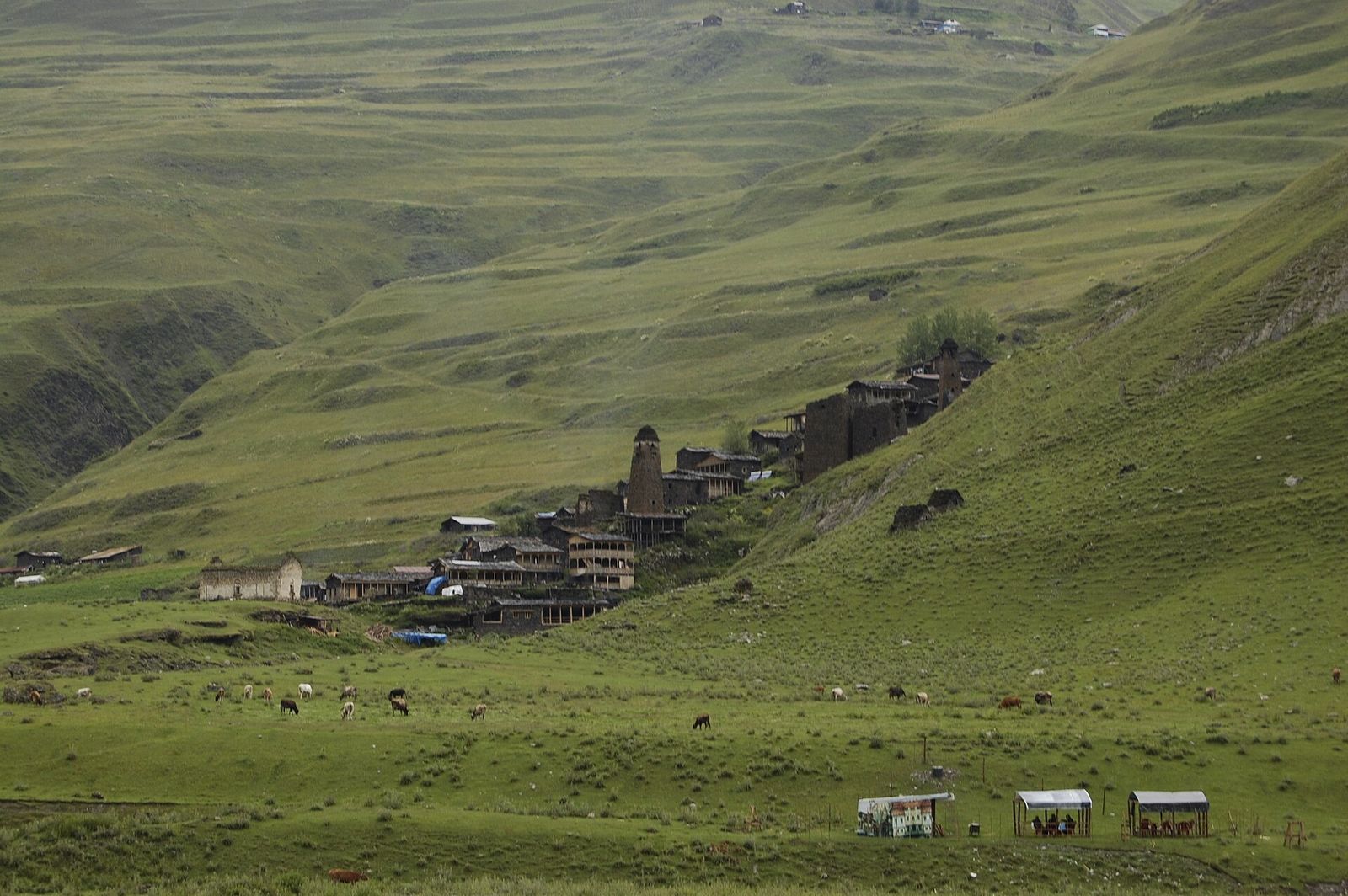 Dartlo village with its slate houses and defense towers on a green hillside, cattle grazing in the meadow below