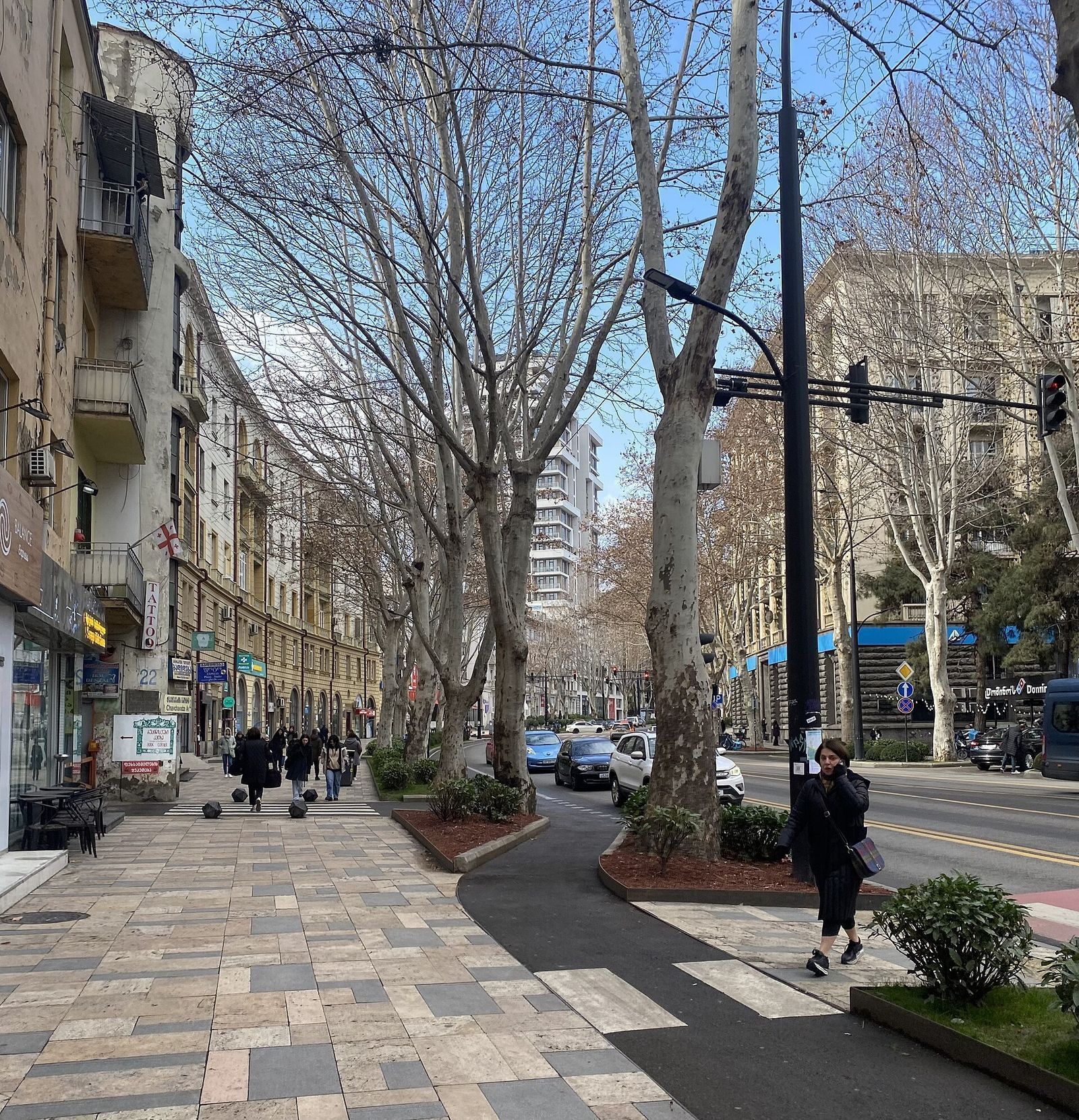 A wide tree-lined pavement on Ilia Chavchavadze Avenue in Vake, with shops, apartment blocks and a high-rise behind