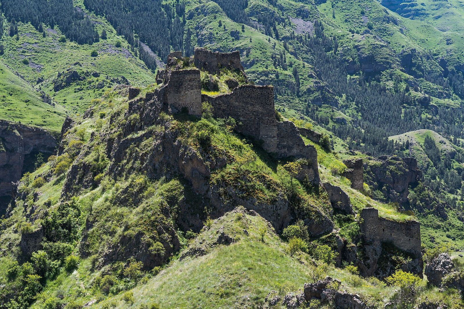 The ruined towers and walls of Tmogvi Fortress on a green clifftop above the gorge