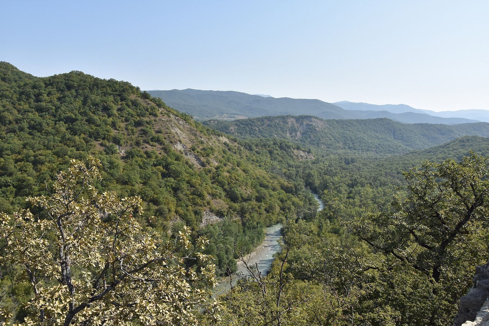 The Iori River winding through the wooded Iori Valley below Ujarma fortress in Sagarejo municipality, Kakheti